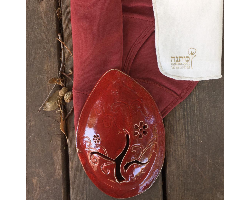 חבילה של תחתוני ווסת מכותנה אורגנית עם שכבת פול ו3 מגבונים רב פעמיים