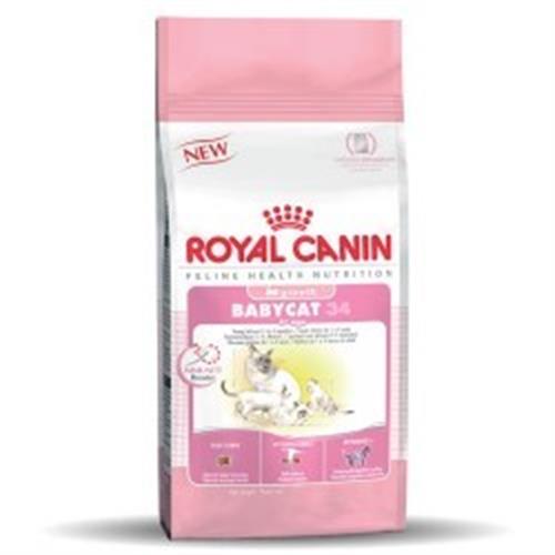 רויאל קנין בייבי קט 4 ק"ג