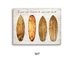 השראה לנוער ים, גלשנים, מטוס ונוצות