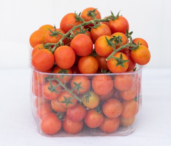 עגבניות שרי 1.3 ק"ג