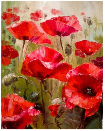 צביעה לפי מספרים 30X40 - פרגים DZ591