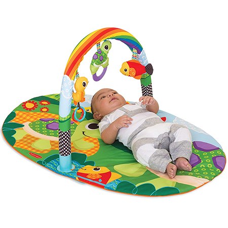 אוניברסיטה Activity Gym