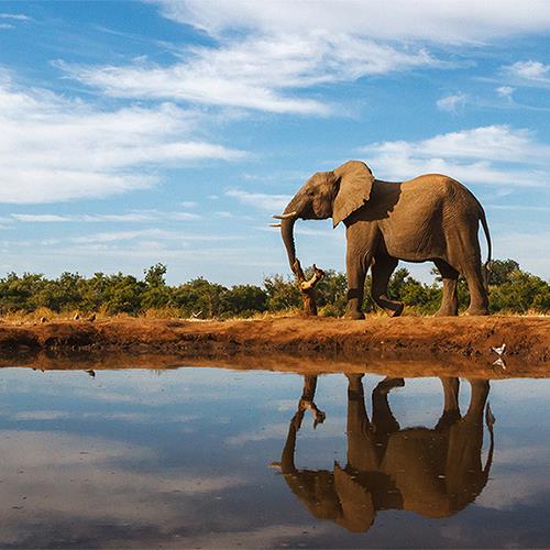 בוצואנה - מדלתת האוקוונגו עד למפלי ויקטוריה