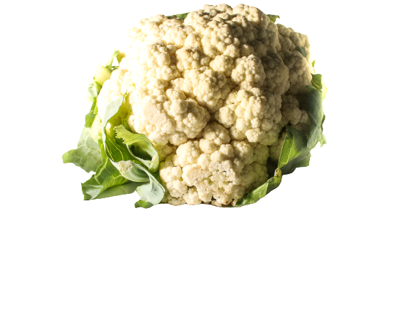 כרובית יחידה