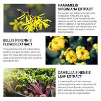 סרום לילה מובחר להורדת שחורים בפנים - סקיור