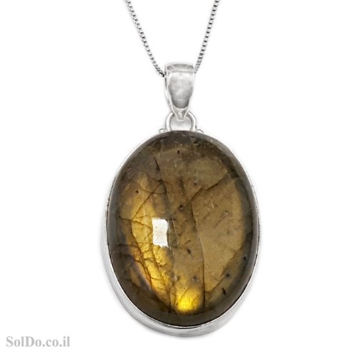 תליון מכסף משובץ אבן לברדוריט  T6154 | תכשיטי כסף