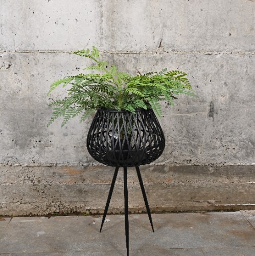 פלנטר אנטרופולוג'י סטרייפס שחור קטן