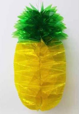 אננס מבריק נפתח 25 ס״מ