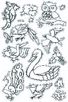 מדבקות חלון - ינשופים (603 A+B)