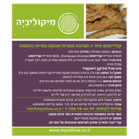 -- קורדיספס פיור - CORDYCEPS PURE -- מכיל 60 כמוסות צמחיות HPMC, מיקוליביה