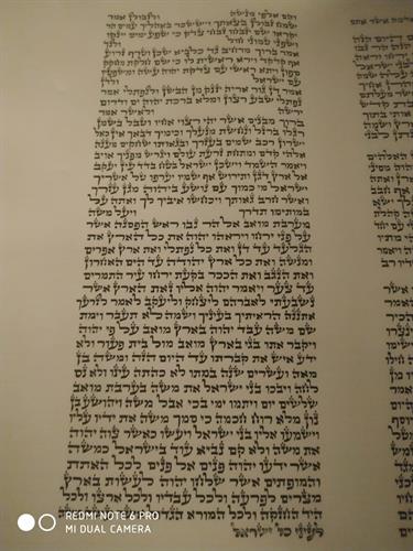 ספר תורה אשכנזי גודל 48 מוכן!