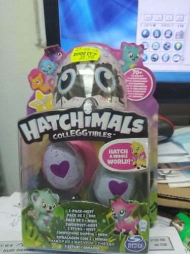 האצימל 2 יח ביצים