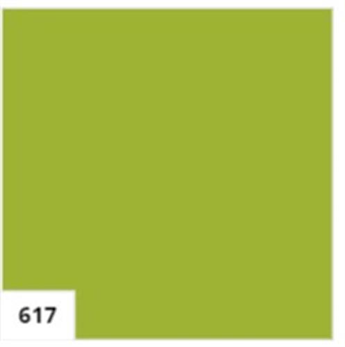 אמסטרדם אקר' 120 מל' - 617 YELOWISH GREEN