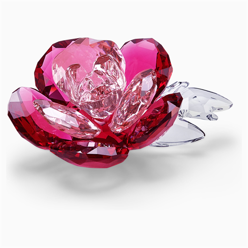 קריסטל SWAROVSKI  PEONY