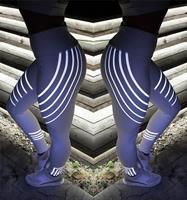 טייץ ספורט - מחזיר אור