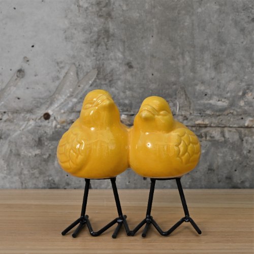 זוג ציפורים צהובות מחוברות