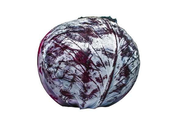 כרוב אדום מהדרין