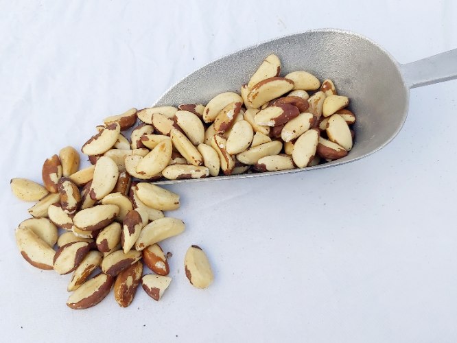 אגוז ברזיל טבעי 500 גרם