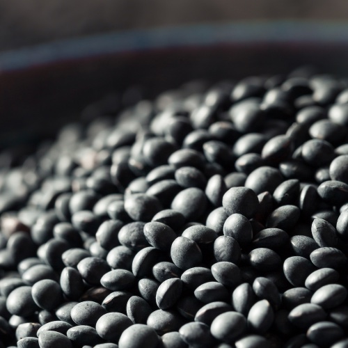 עדשים שחורות