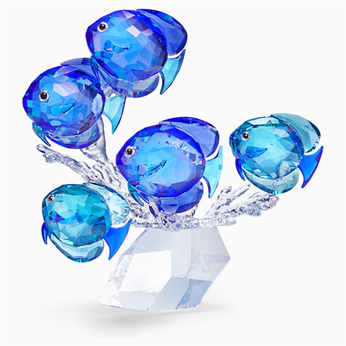 קריסטל SWAROVSKI  SCHOOL OF FISH