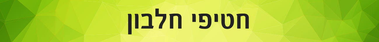 חטיפי חלבון - MY SHAKE