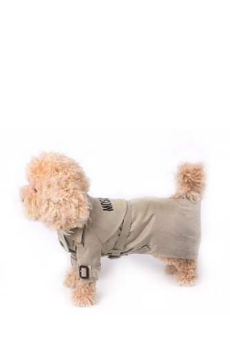 Moschino couture dog Long jacket