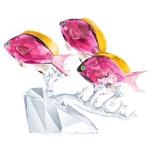קריסטל SWAROVSKI  ANTHIAS FISH TRIO