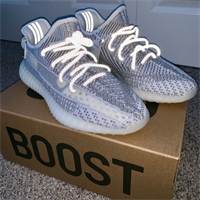Adidas Yeezy 350 Static