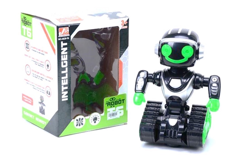 רובוט T6 מאיר