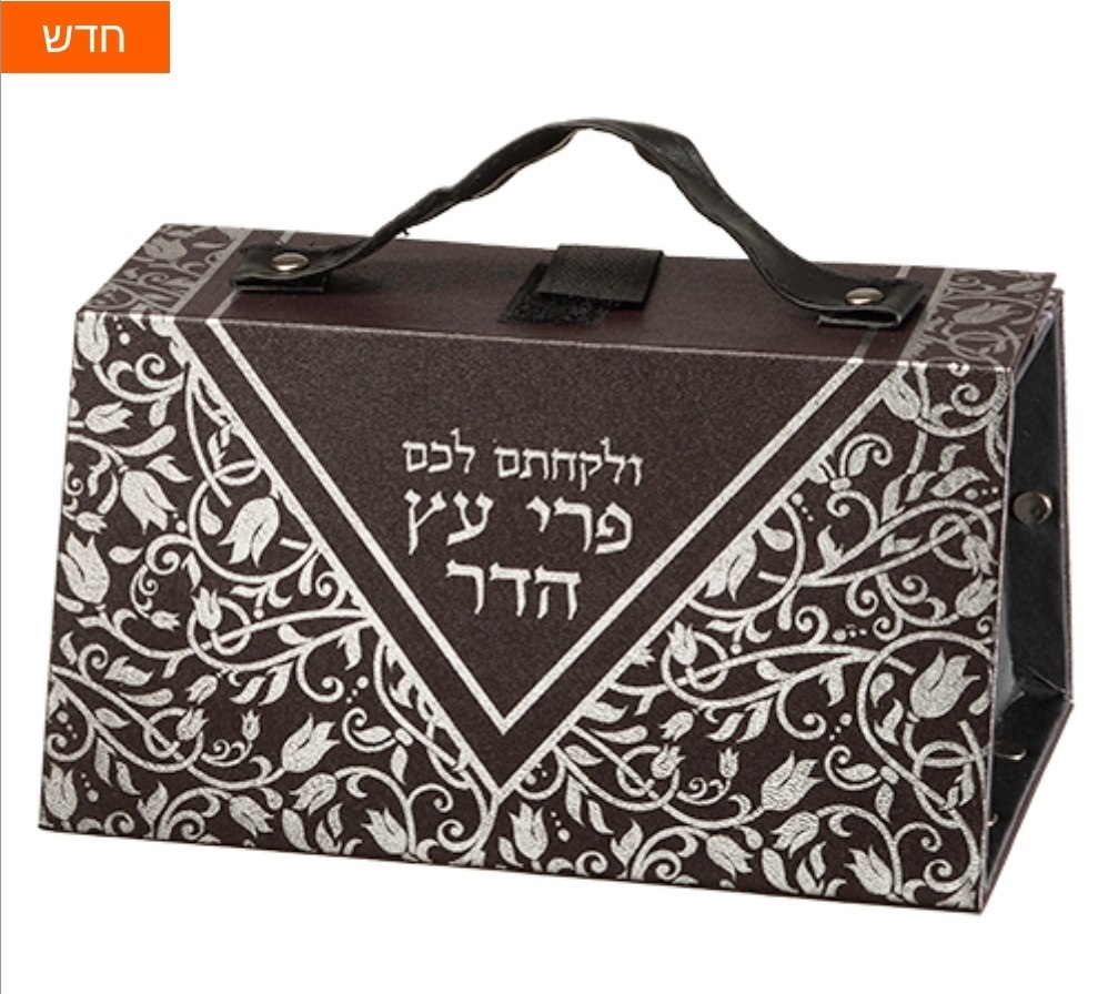 קופסת אתרוג דמוי עור עיטור כסף