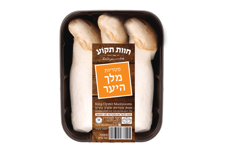 פטריות מלך היער