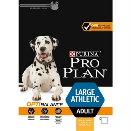 pro plan-פרופלאן בוגר גזע גדול פעיל