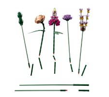 לגו בוטניקה זר פרחים