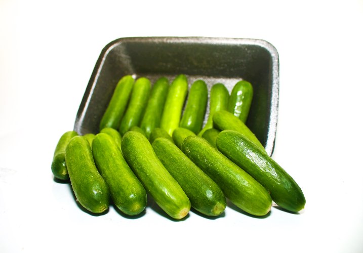 מלפפון בייבי