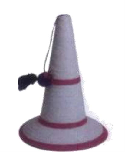 קונוס לחתול