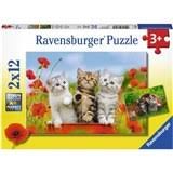 מארז 2 פאזלים חתולים 2*24
