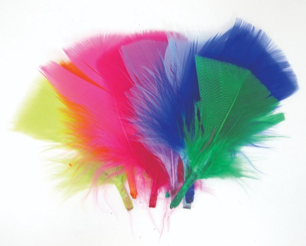 נוצות צבעוני קטנות כ10 גרם