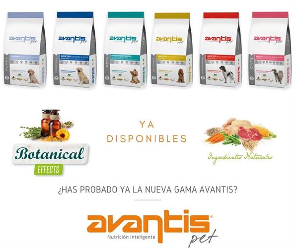 AVANTIS עוף ואורז