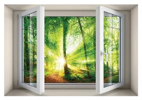 חלון בנישה הזריחה ביער הקסום