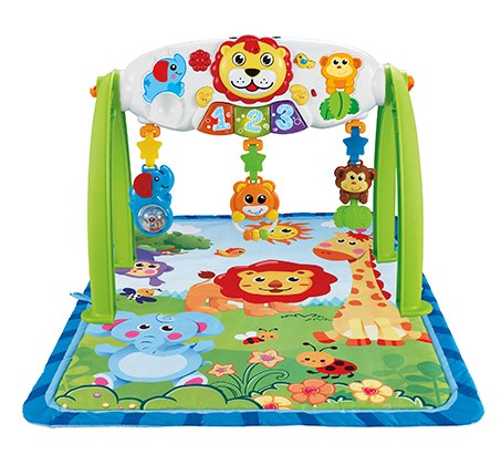 אוניברסיטת חיות בג'ונגל