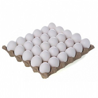 תבנית ביצים 30 יחידות מידה L