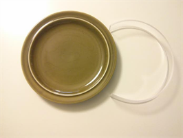 שוליים לצלחת