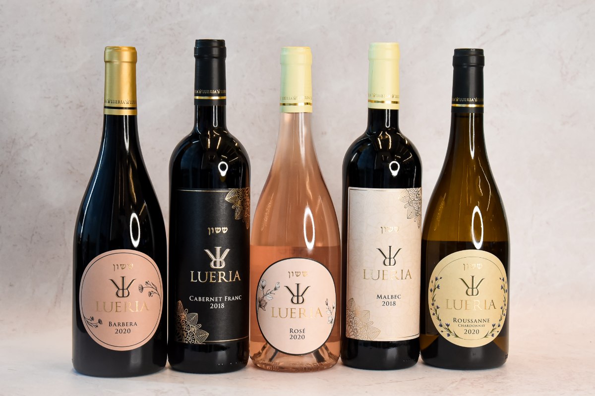 מארז לוריא ששון