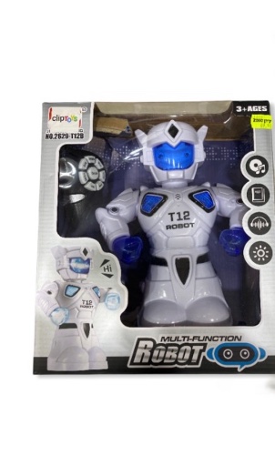 רובוט קולות ואורות