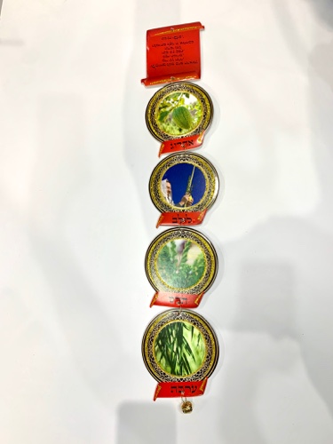 שרשרת ארבעת המינים