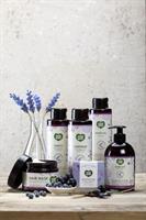 Ecolove  מרכך לשיער צבוע ויבש מתמציות אורגניות אוכמניות ענבים ולבנדר 500 מ"ל