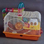 כלוב לאוגרים מאובזר ענק עם מנהרות