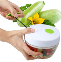 מעבד מזון ידני