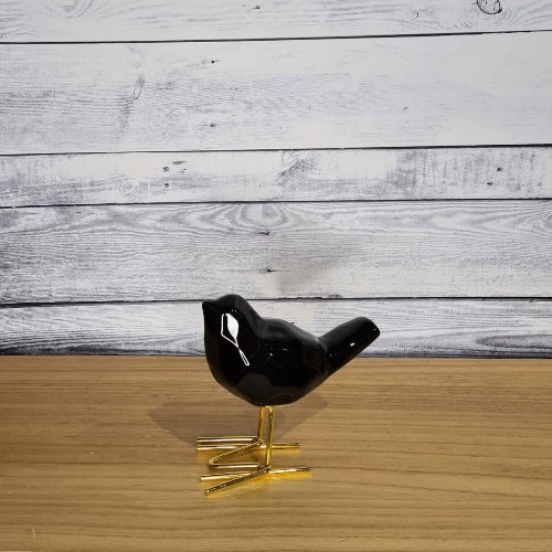 ציפור שחורה על רגל זהב