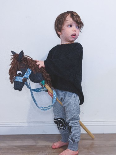 סוס על מקל בצבע אפור